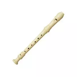 ASHTON RCR10 Блок-флейта