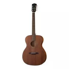PARKWOOD S22M-NS Акустическая гитара, с чехлом, матовая,