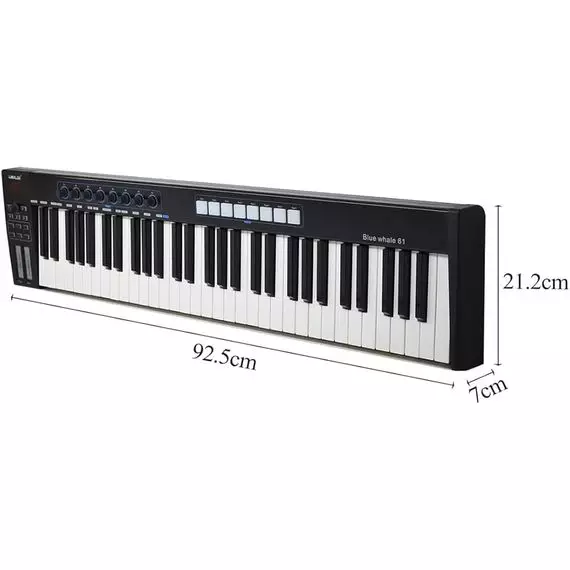 LAUDIO BLUE-WHALE61 MIDI-контроллер, 61 клавиша