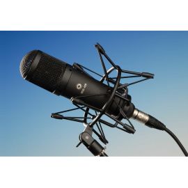 ОКТАВА MK-419 Микрофон конденсаторный в дер. футляре