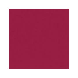 WEICHHART WE1408/113 Светофильтр 60*51см вишневый