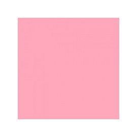WEICHHART WE1408/107 Светофильтр 61*50см светло-розовый