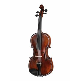 P-V044-F Professional Gama Special Скрипка 4/4, Gliga