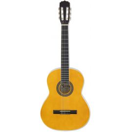 ARIA FIESTA FST-200-53 Гитара классическая, размер 1/2