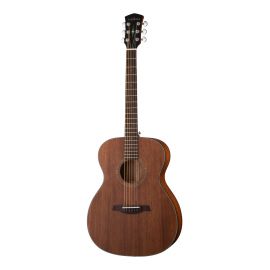 PARKWOOD S22M-NS Акустическая гитара, с чехлом, матовая,