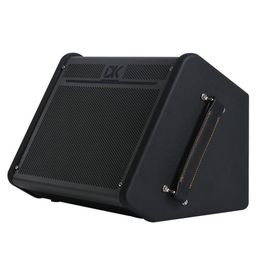 DK iC-100 Комбоусилитель для акустической гитары, 100Вт, портативный