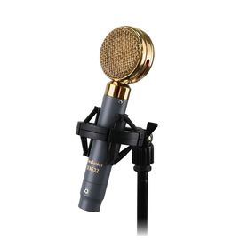 AURASONICS LENS32 Студийный микрофон c широкой мембраной, капсюль 32 мм золото 6 микрон, кардиоидный