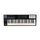 Panda-49C MIDI-контроллер, 49 клавиш, Laudio