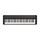 CASIO CT-S1BK Цифровое пианино Light Piano с 61 клавишей фортепианного типа, комплект с педалью. Это абсолютно новый вид клавишных инструментов от CASIO. C одной стороны превосходно звучащее пианино, с другой - легкость и компактность синтезатора.