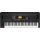 KORG EK-50 L синтезатор с автоаккомпанементом, обновленная (специализированная) версия EK-50, KORG EK-50 L синтезатор с автоаккомпанементом, обновленная (специализированная) версия EK-50,