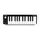 LAUDIO EasyKey MIDI-контроллер, 25 клавиш