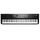 KURZWEIL SP-1 Цифровое сценическое пианино 88кл,