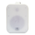 SVS Audiotechnik WSP-60 White Громкоговоритель настенный