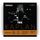 D'ADDARIO KA310-4/4M Kaplan Amo Комплект струн для скрипки размером 4/4, среднее натяжение D'ADDARIO KA310-4/4M Kaplan Amo Комплект струн для скрипки размером 4/4, среднее натяжение