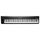 KURZWEIL KM88 MIDI-клавиатура с 88-клавишной полноразмерной клавиатурой, оснащенной молоточковым механизмом KURZWEIL KM88 MIDI-клавиатура с 88-клавишной полноразмерной клавиатурой, оснащенной молоточковым механизмом