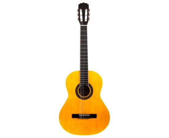 ARIA FIESTA FST-200-58 N W/B Гитара классическая, размер 3/4, верх: американская липа, нижняя дека и