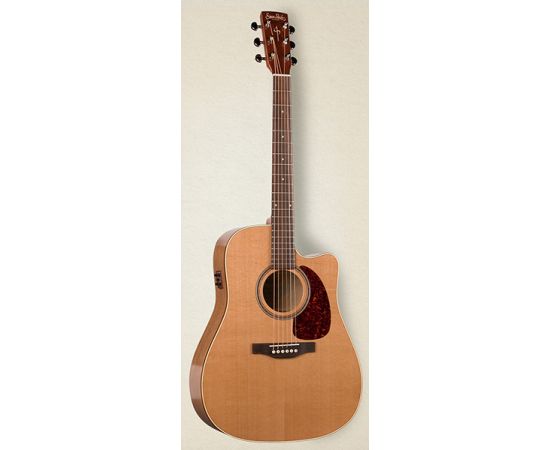 SIMON&PATRICK 033768 CWGT Cedar QIT Электро-акустическая гитара, с чехлом