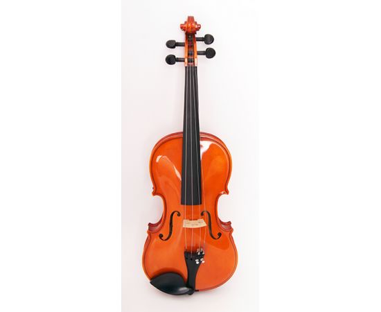 STRUNAL 1750-4/4 Скрипка концертная 4/4,Модель: Страдивари.Верхняя дека: массив ели.Нижняя дека и обечайки: волнистый клен (ярко выраженная волна)