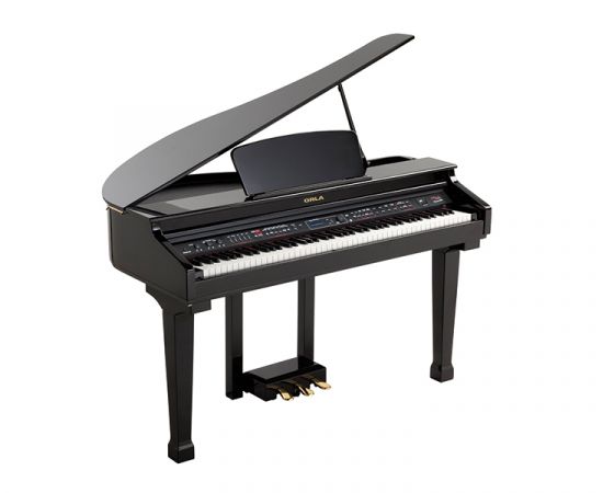 ORLA 438PIA0634 Grand 120 Цифровой рояль, с автоаккомпанементом, черный