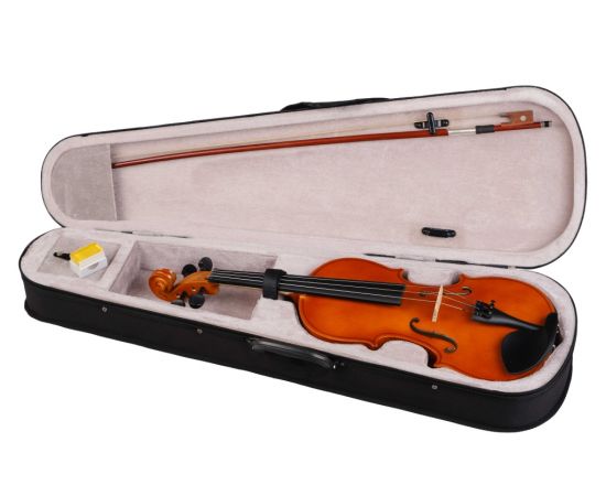 FOIX FVP-01A-4/4 Скрипка студенческая 4/4, с футляром и смычком