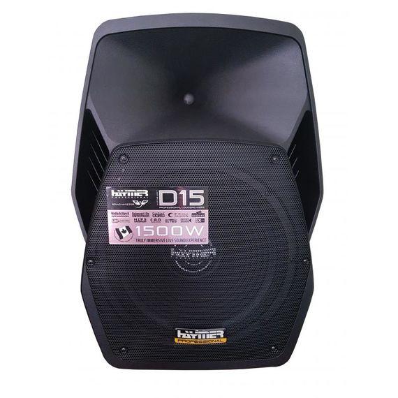 HAYMER D-15A Акустическая система активная, 300Вт RMS, класс AB, 15"+2", USB, MP3,SD,BT,FM, пульт ДУ
