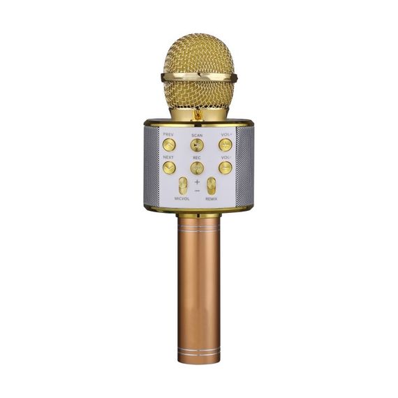 FUNAUDIO G-800 Gold Беспроводной караоке микрофон со встроенными динамиками.Поддержка файлов: MP3, W