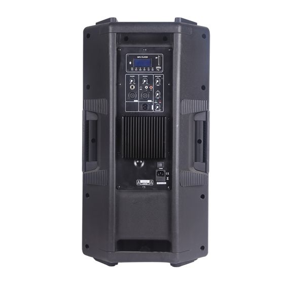 BG TN-15UB Система акустическая активная, 350Вт RMS, классAB, 15"+1", USB, MP3, SD, BT