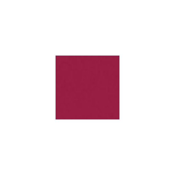 WEICHHART WE1408/113 Светофильтр 60*51см вишневый