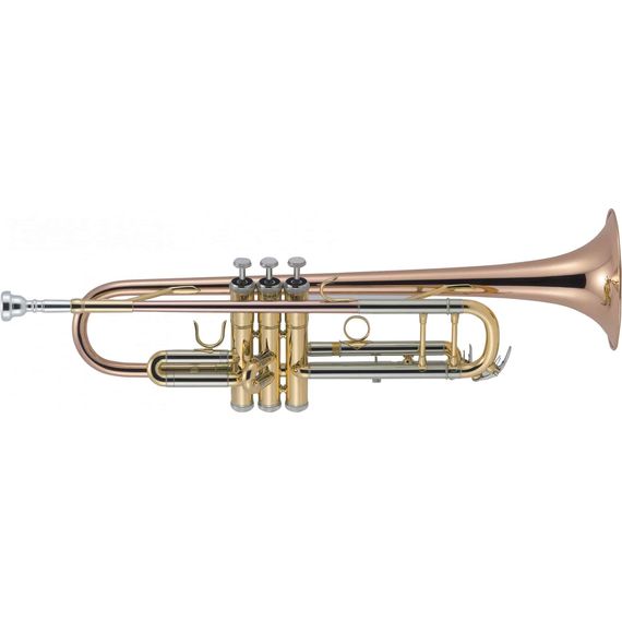 J.MICHAEL TR-450 Труба Bb, покрытие золотой лак, в кейсе TR-450