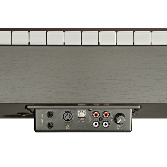 BECKER BDP-82R корпусное цифровое фортепиано для дома.