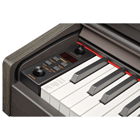 BECKER BDP-82R корпусное цифровое фортепиано для дома.