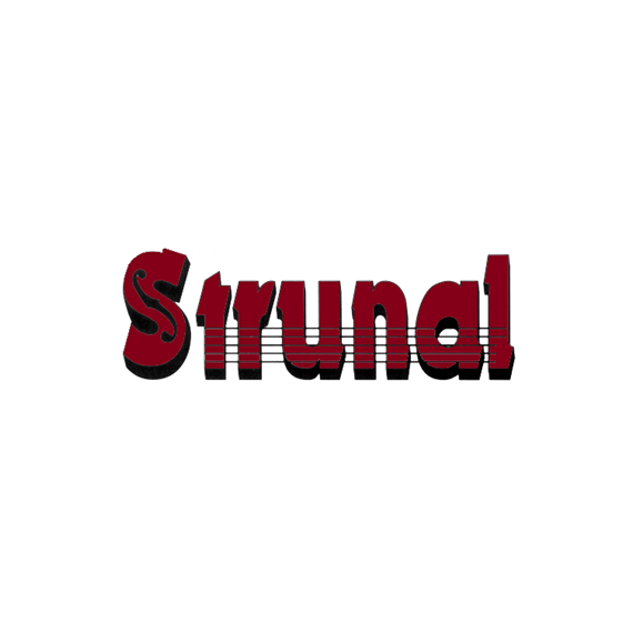 STRUNAL 4/4we-4/4 Виолончель полупрофессиональная,Верхняя дека: массив ели.