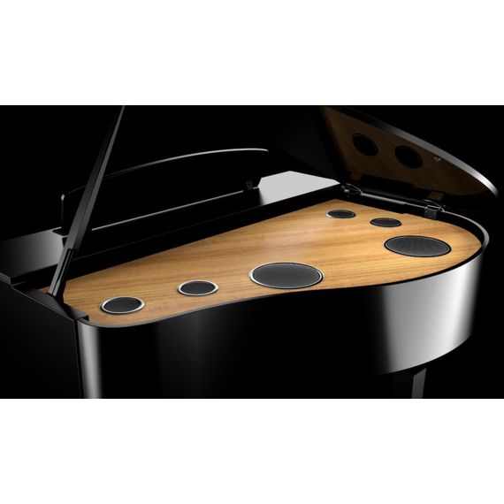 YAMAHA CLP-795GP Цифровое фортепиано в корпусе кабинетного рояля, цвет черный