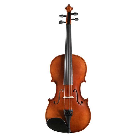 STRUNAL 160A-4/4 Siena Скрипка студенческая 4/4