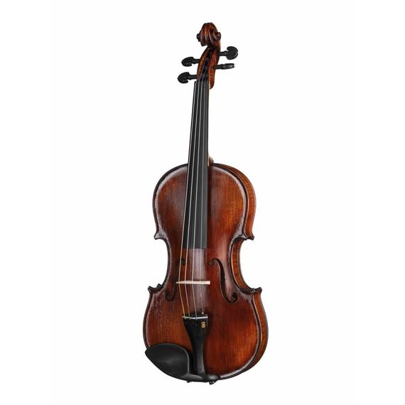 P-V044-F Professional Gama Special Скрипка 4/4, Gliga