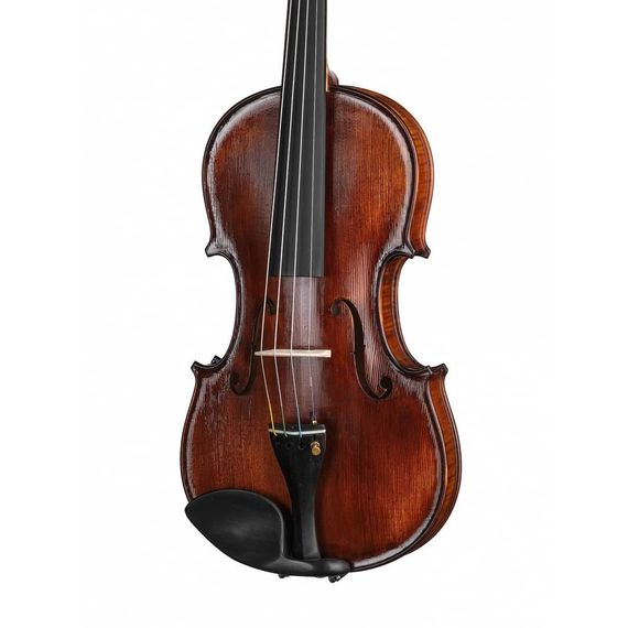 P-V044-F Professional Gama Special Скрипка 4/4, Gliga