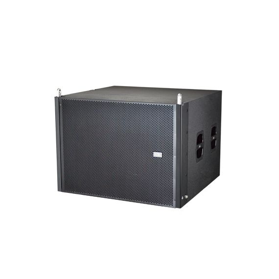 SOUNDKING G210S Сабвуфер, элемент линейного массива, влагостойкий
