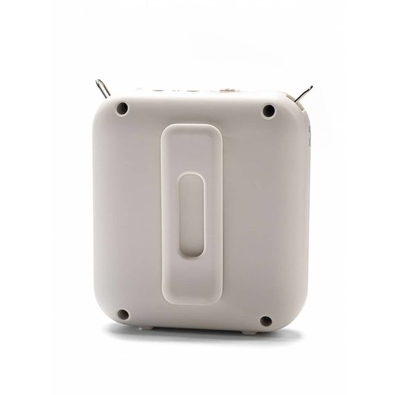LAUDIO WS-VA058 Переносной громкоговоритель для гида, 5Вт