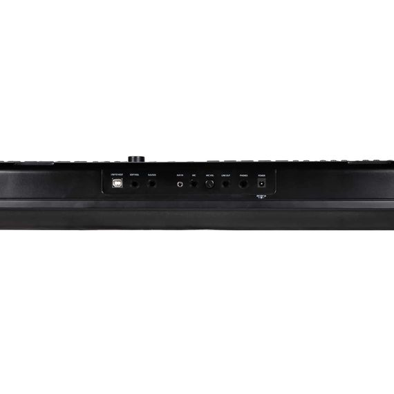 ARTESIA PE-88 Black Цифровое фортепиано ,Количество клавиш 88,Тип клавиатуры Динамическая взвешенная,С восприятием нажатия
