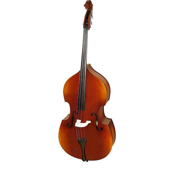 HORA B110BAG-4/4 Rhapsody Student solid top Контрабас с чехлом