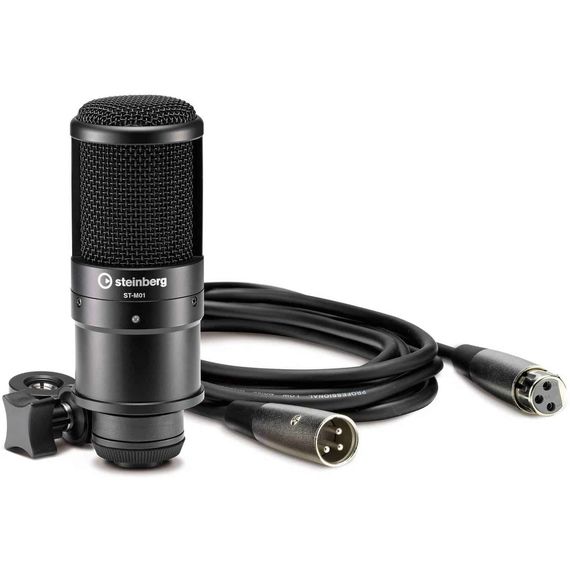 STEINBERG UR22 MKII Recording Pack Комплект для звукозаписи. 2-канальный звуковой USB-интерфейс UR22 mkII, полноразмерные динамические наушники ST-H01, конденсаторный микрофон ST-M01, ПО: Cubase AI