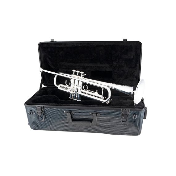 BACH TR200S Труба Bb, посеребренная, изображение 4