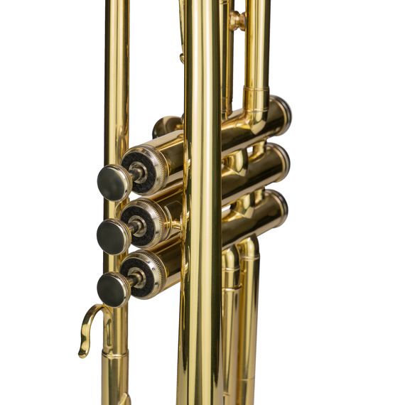 CASCHA EH-3800 Труба Bb