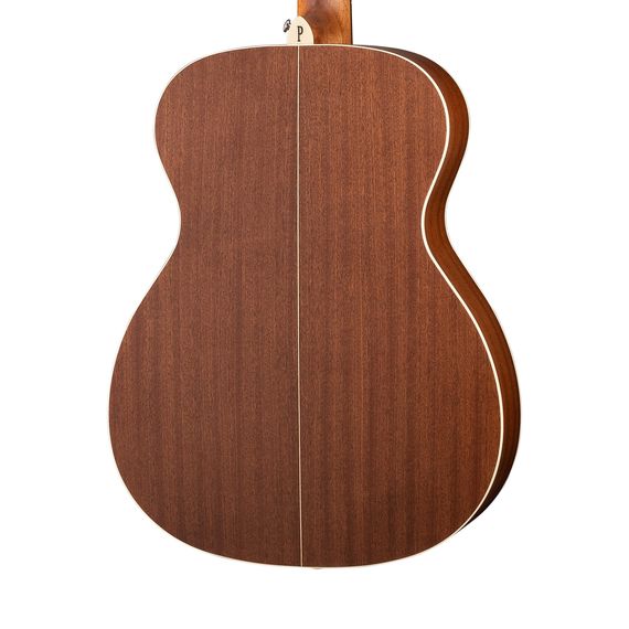 PARKWOOD S22-GT Акустическая гитара, с чехлом, глянец