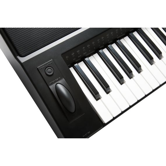 KURZWEIL KP200 LB Синтезатор с 61-клавишной чувствительной клавиатурой