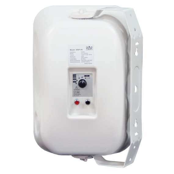 SVS Audiotechnik WSP-80 White Громкоговоритель настенный