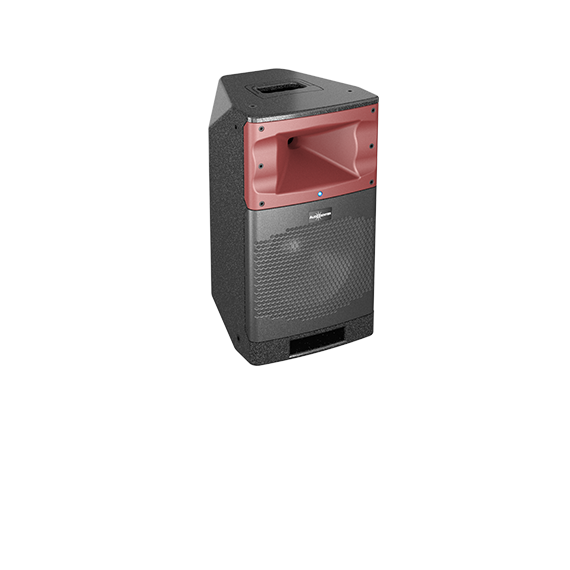 AUDIOCENTER SA310 Активная акустическая система.мониторная 10"