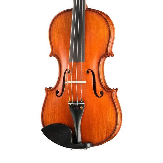 GLIGA PU-V044-OH Professional Gama Unique Ash Скрипка 4/4
