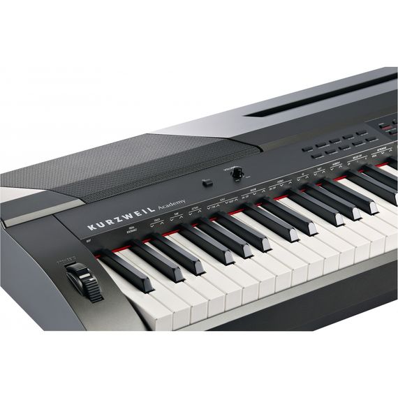 KURZWEIL KA90 LB Цифровое пианино 88кл.