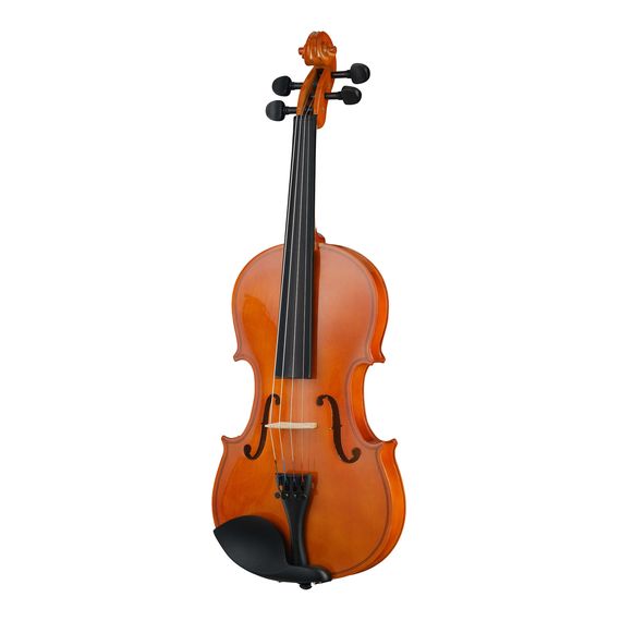 FOIX FVP-01A-4/4 Скрипка студенческая 4/4, с футляром и смычком